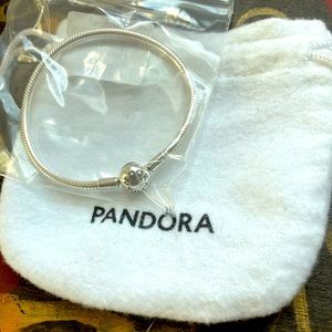 Pandora Moments Bangle